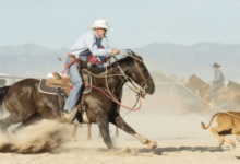 What are the different events in a rodeo, and what are their rules?