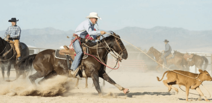 What are the different events in a rodeo, and what are their rules?