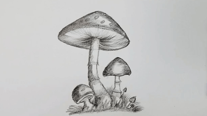 Cute:7ziqkivryto= Mushroom Drawings