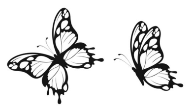 Outline:6f8gxsnezbk= Butterfly Template