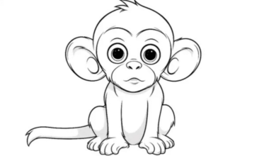 Outline:2mn7gemndqm= Monkey Drawing