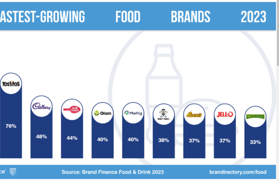 Megology Net Worth: Brand's Success and Financial Insights